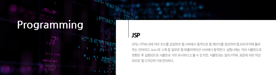 JSP Programming 